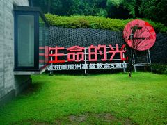 -美丽洲堂