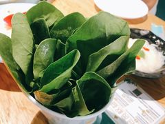-青瓷火锅料理(西单大悦城店)