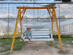 -前小桔亲子创意农场·草莓采摘·露营烧烤