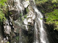 -藏龙百瀑风景区