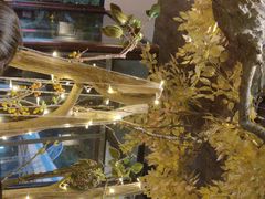 -冰城小镇音乐串吧·聚会餐厅(百子湾店)