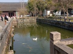 -苏州文庙(姑苏区)