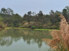 -桤木河湿地公园