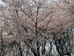 -江苏三台山国家森林公园