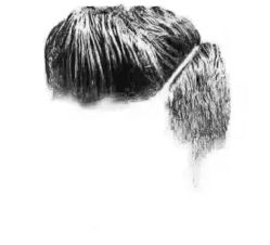 -INXXMAN男士理发