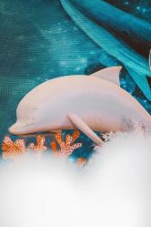 -忆江南婚礼策划(姑苏店)