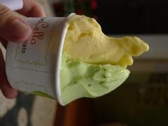 雪糕-柠檬车露(卖草地店)