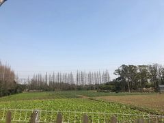 -上海长兴岛郊野公园