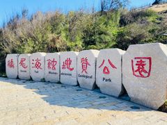 -湄洲岛