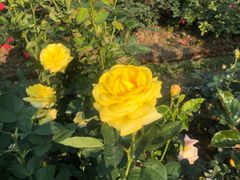 -人民公园(罗湖区)