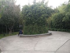 -西安汉城湖景区