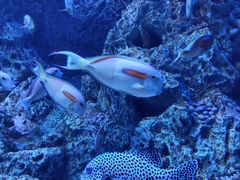 -成都浩海立方海洋公园