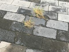 -簋街
