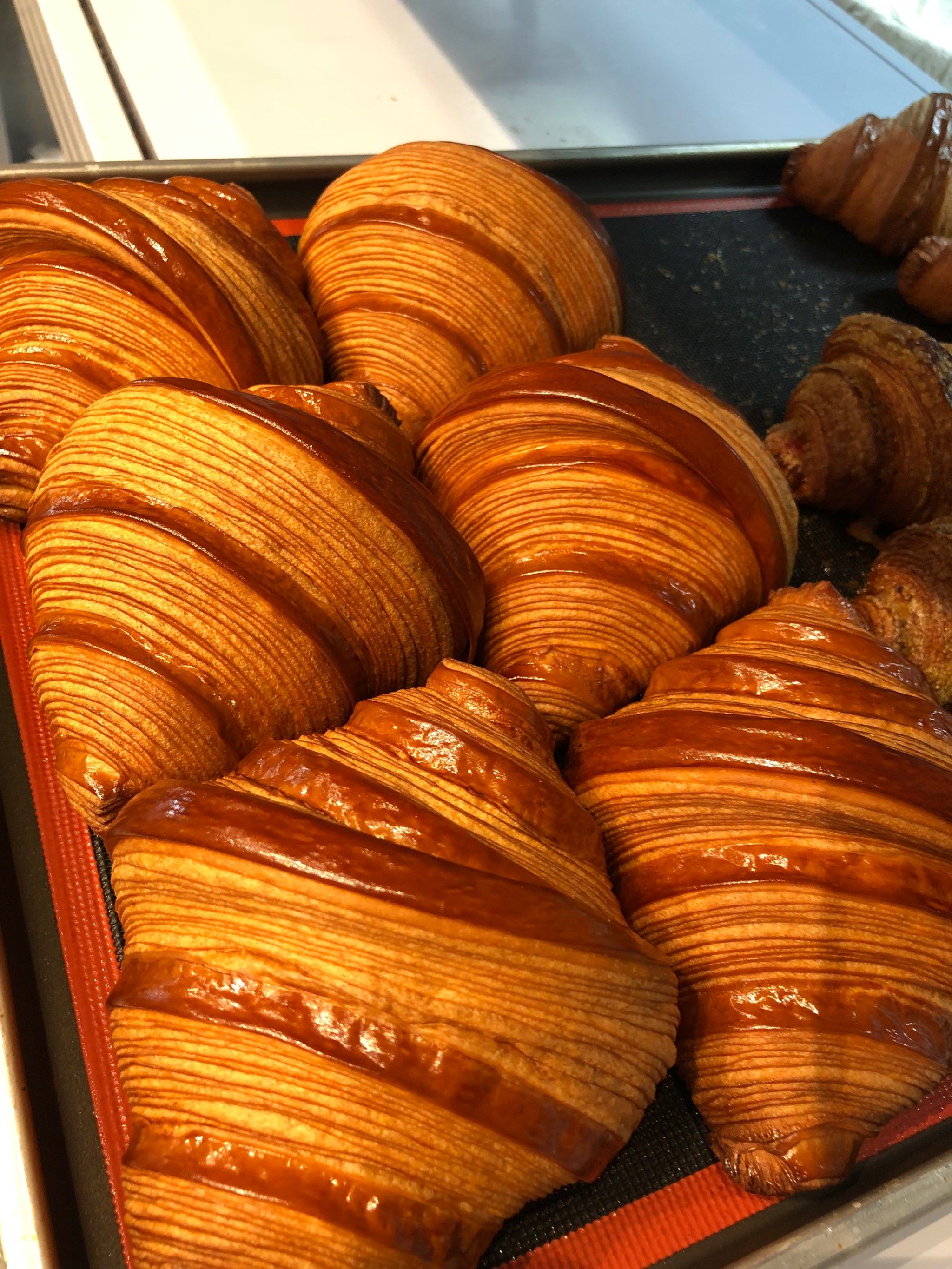 胖颂的焦糖羊角包