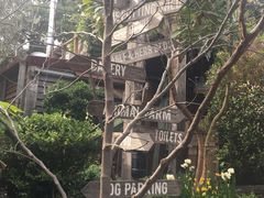-The Grounds of Alexandria