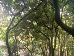 -龙头寺公园