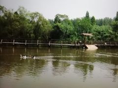 -溱湖国家湿地公园