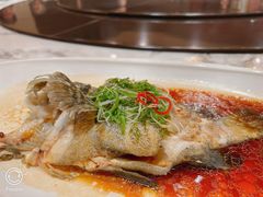 -巴音浩日娲酒楼(双林东路店)