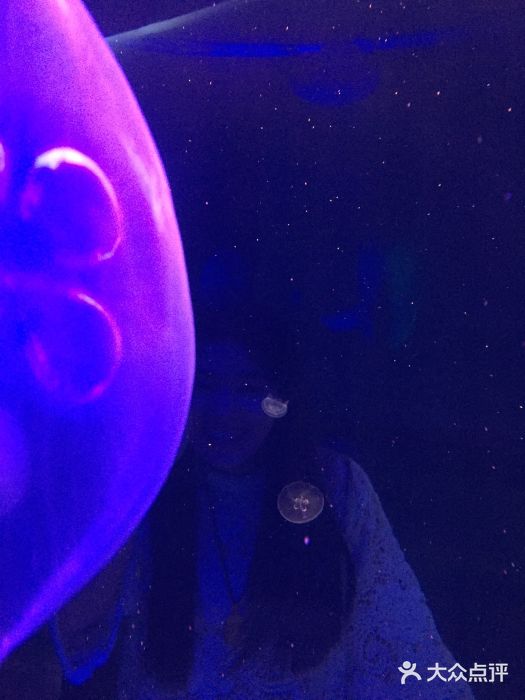 福州罗源湾海洋世界旅游区图片