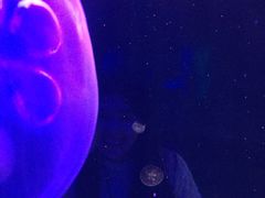 -福州罗源湾海洋世界旅游区