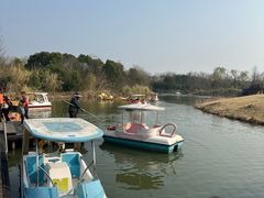 -南湖湿地公园