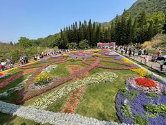 -深圳仙湖植物园