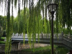 -元大都城垣遗址公园