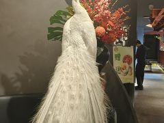 -滇野云南野生菌餐厅(陕西南路店)