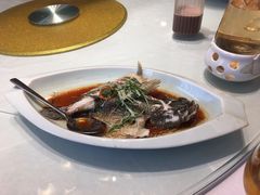 葱花鲈鱼-梦都海鲜酒家(万达广场江桥店)