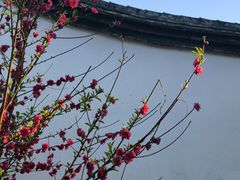 -乌山风景区