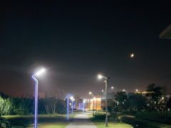 -洋湖国家湿地公园