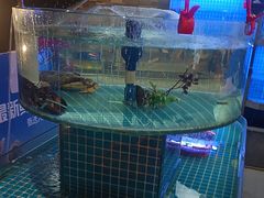 -徽珍源(龙茗路店)