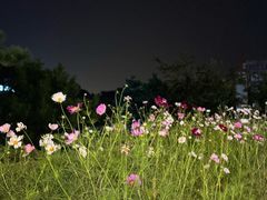 -莫子山公园