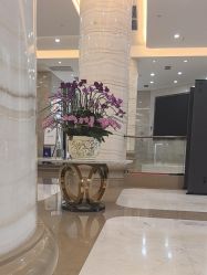 -广州曙光医学美容医院