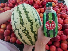 -知物癖(牛王庙店)