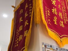 -芭比堂动物医院·心脏科·老年急重症·夜诊·吉雅分院
