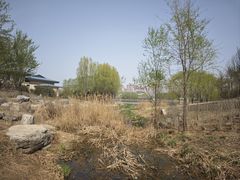 -马家湾湿地公园