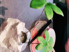 -江南里·新浙菜(苏州大悦城店)