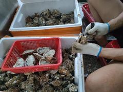 -蚝哥花姐湛江烤生蚝(美丽湾市场店)