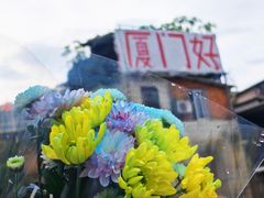 -溪岸路花鸟市场