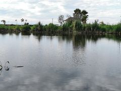 -呈贡滇池生态湿地公园