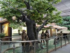 -兰陵国家农业公园