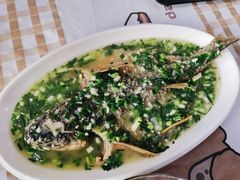 -五福堂龟苓膏(河东北山店)