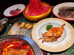 -牛New寿喜烧(金鹰世界店)