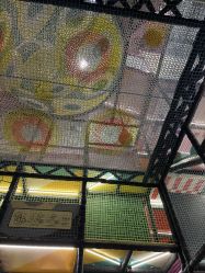-meland亲子乐园•派对•研学(宁波华润万象城店)