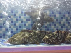 -船奇蒸汽海鲜·闽菜(八市海鲜总店)