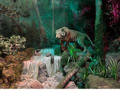 -武汉园博园(武汉自然博物馆)