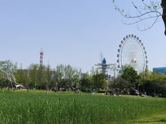 -洋湖国家湿地公园