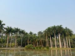 -中国科学院西双版纳热带植物园