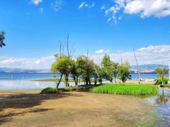 -洱海月湿地公园